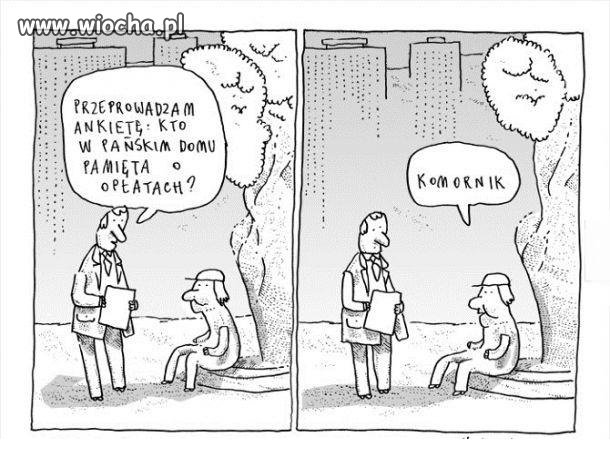 Ankieta