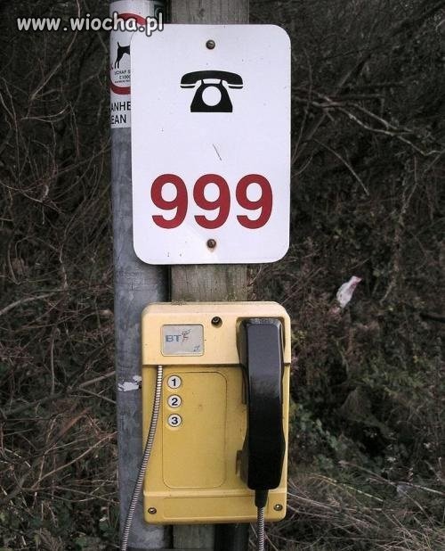 Zadzwoń...