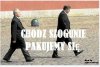 Każdy chyba wie o co chodzi ...