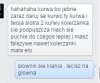 KOLERZANKA