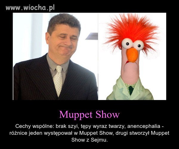 Muppet Show