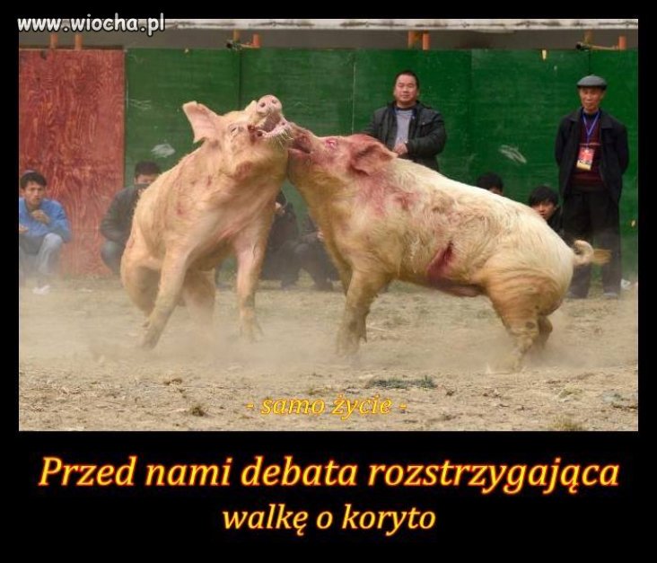Debata nr II 