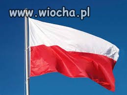 Naprzód Kukiz