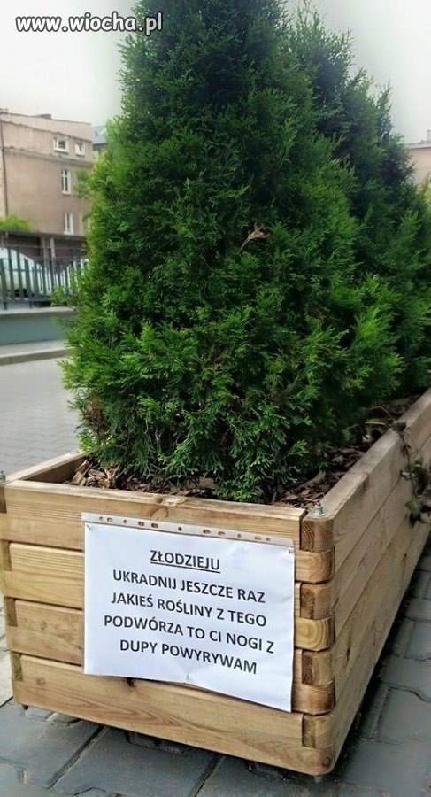 Wiadomość z przekazem