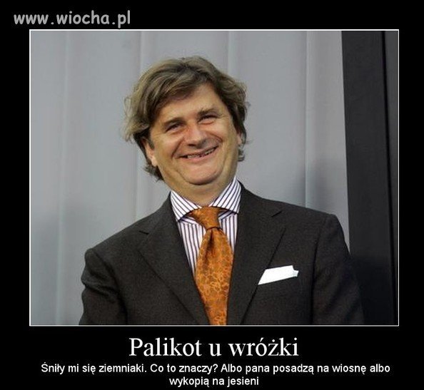 Palikot z wizytą u wróżki 