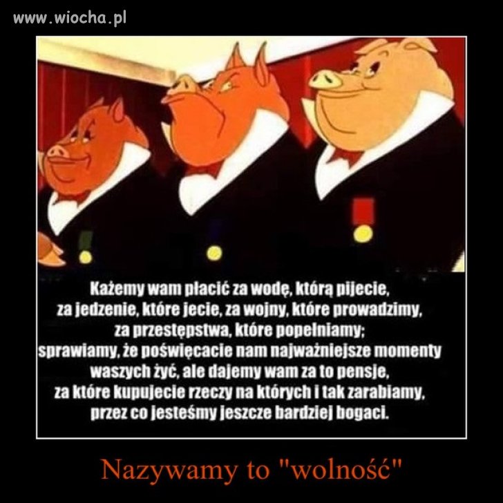 Wmawiają Nam, że mamy wolność