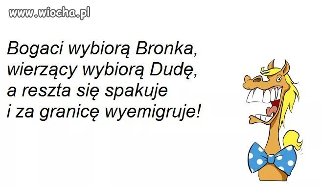 Wybory 