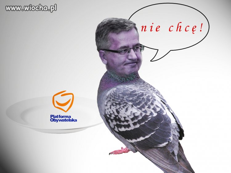 II debata 2015