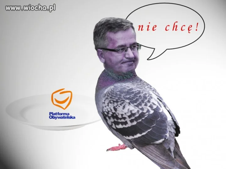 II debata 2015