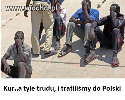 Zrozpaczeni imigranci 