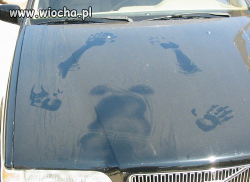 Dowód