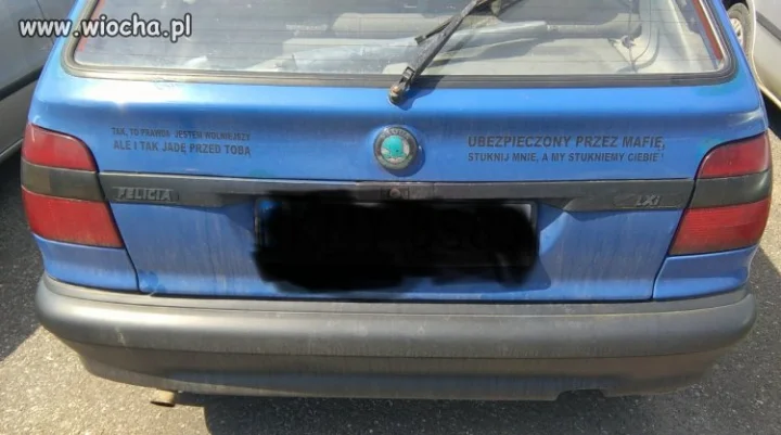 "plecy"