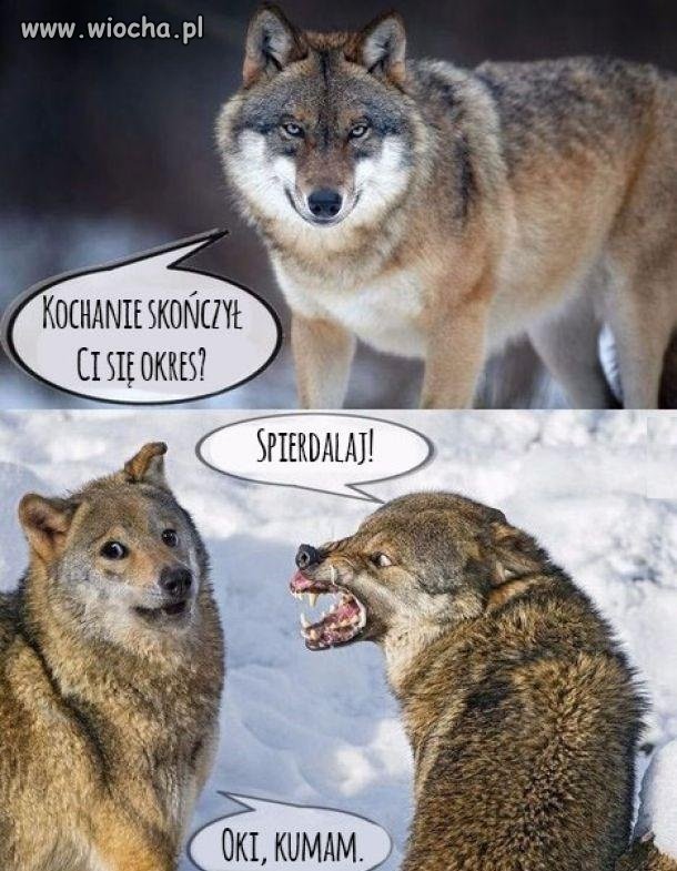 Kochanie
