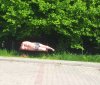 Zgaście to słońce 