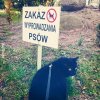 Wszędzie dyskrymnacja