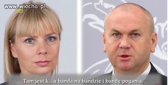 Struktura Platformy według pani Bieńkowskiej