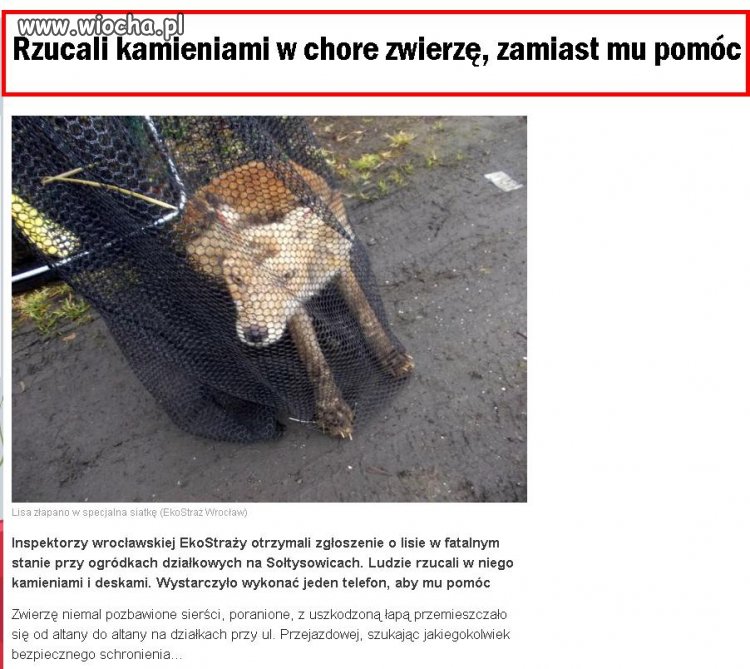 Ludzie to są popier... 