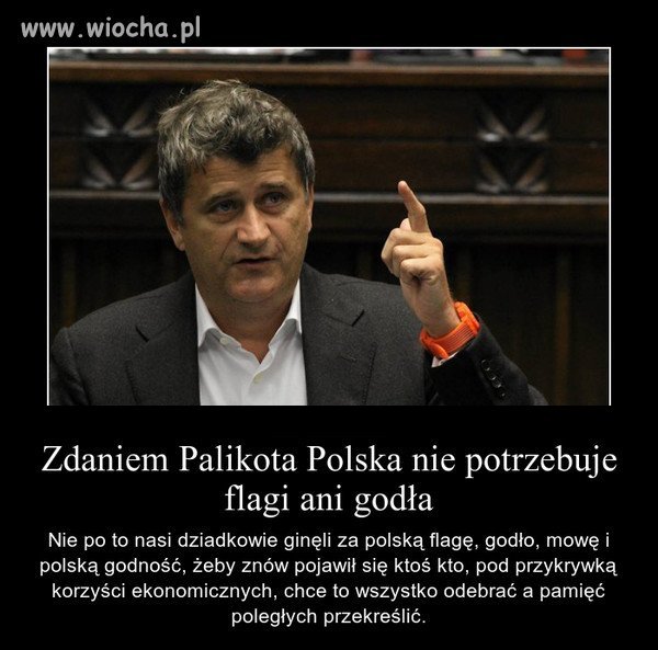 Partiotyzm według palikota