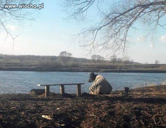 Jezioro.