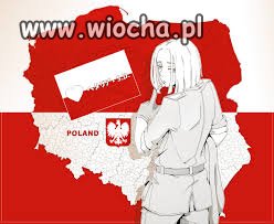 Polaku chcesz coś zmienić - rusz dupę do netu