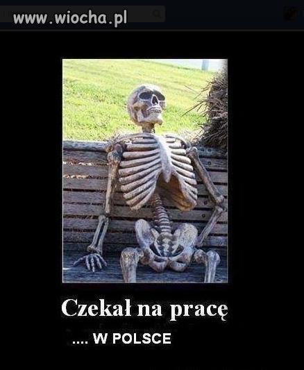 Czekał na pracę 