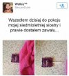 Siostra