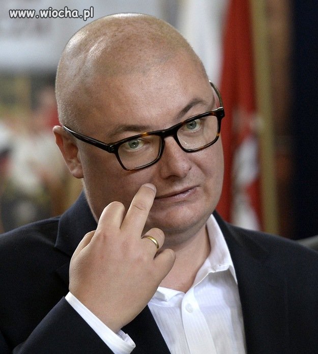 AWS,ZCHN,PiS,PJN, 2014 lista PO do europarlamentu