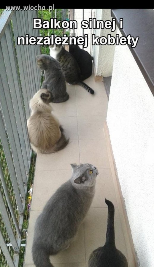 Balkon