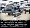 Wiocha dla rządu