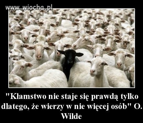 Jesteście tylko stadem owiec