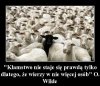 Jesteście tylko stadem owiec