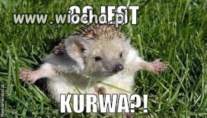 Co jest???