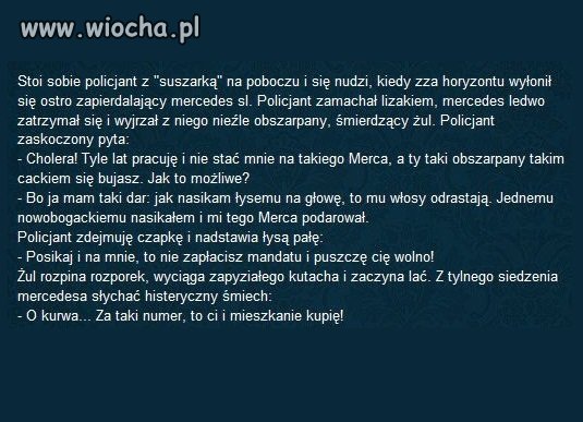Stoi sobie policjant na poboczu...