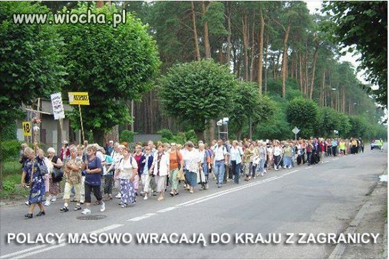 Dobry wybór.
