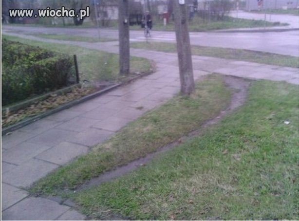 21 wiek, wysyłamy ludzi w kosmos