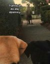 Zła dzielnica