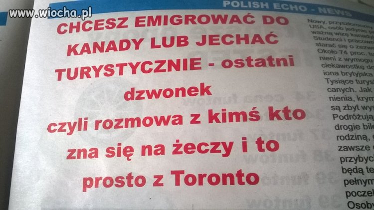 A na języku polskim się nie zna...