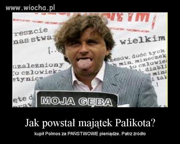 Uczciwość palikota