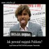 Uczciwość palikota