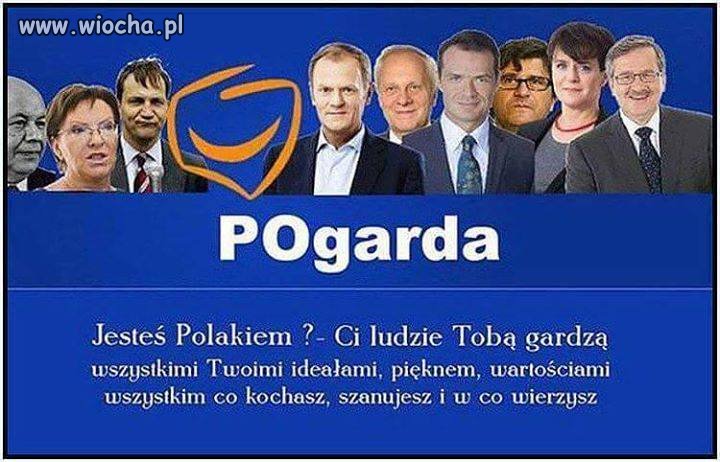 A ja gardzę wami...
