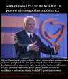 Niesioła znowu wypuścili 
