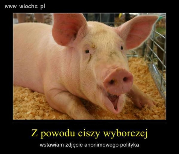 Cisza to cisza...