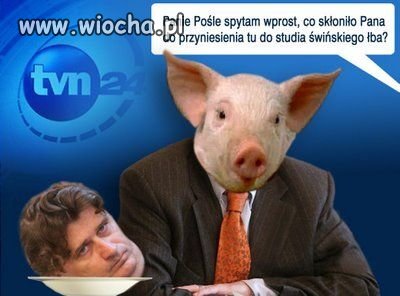 Panie pośle palikocie