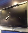 TV kibica