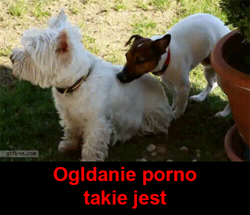 W rzeczy samej tak jest