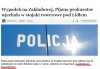 Immunitet