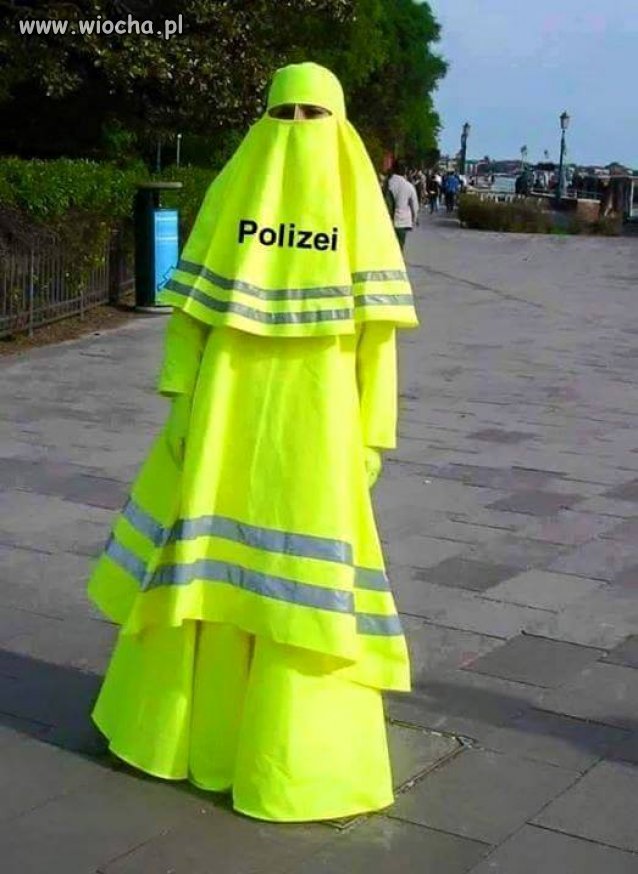 Podoba mi się taki mundur policjanta, daleko go widać