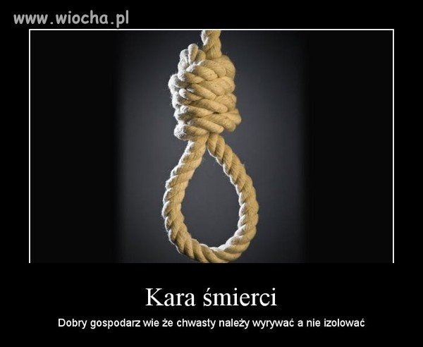 Może też istnieć w sieci