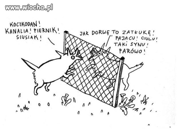 Jak w necie