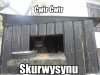 Ćwir ćwir